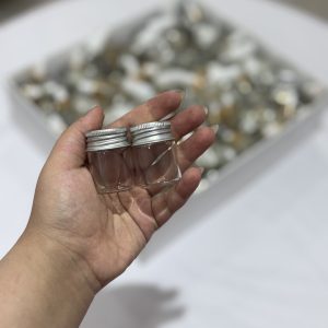 مک کارتی مسافرتی مینی